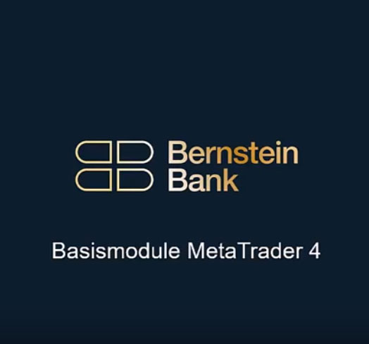 Basismodule MetaTrader4 Video